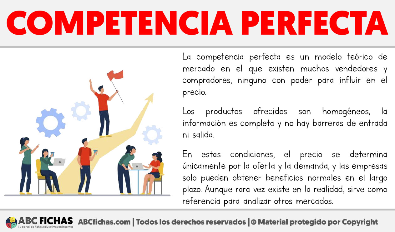 Que es la competencia perfecta
