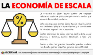 Que es la economia de escala
