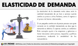 Que es la elasticidad de la demanda