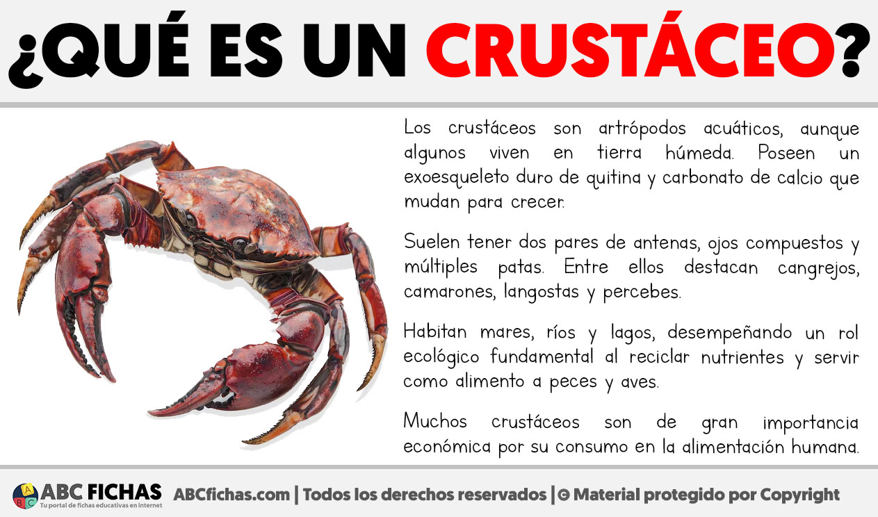 Que es un crustaceo