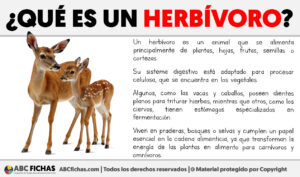 Que es un herbivoro