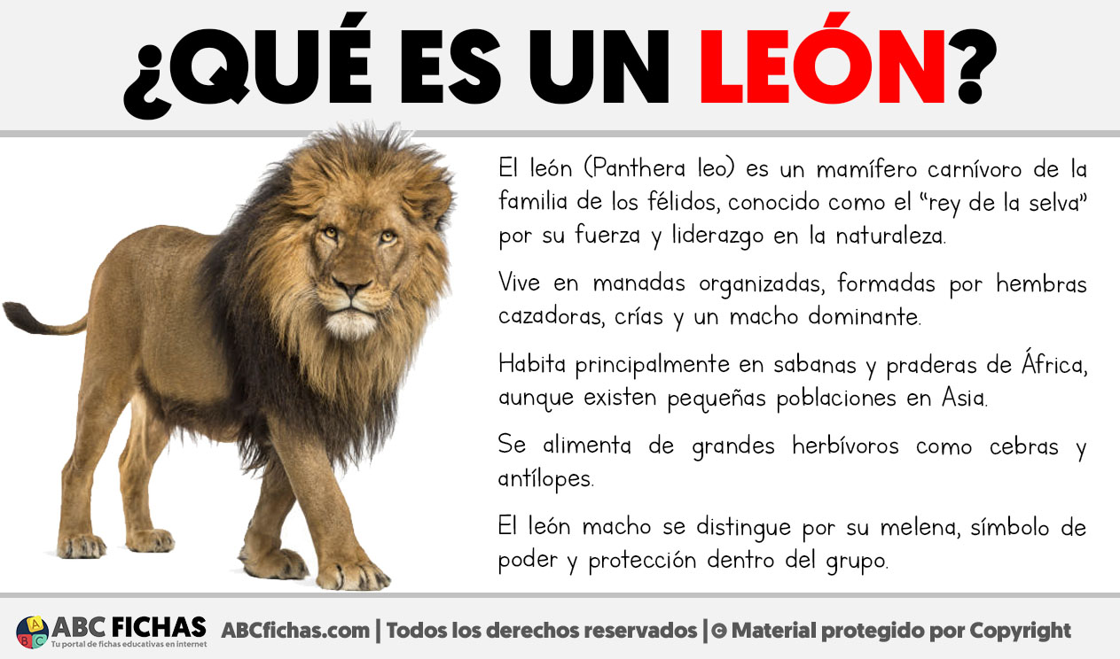 Que es un leon