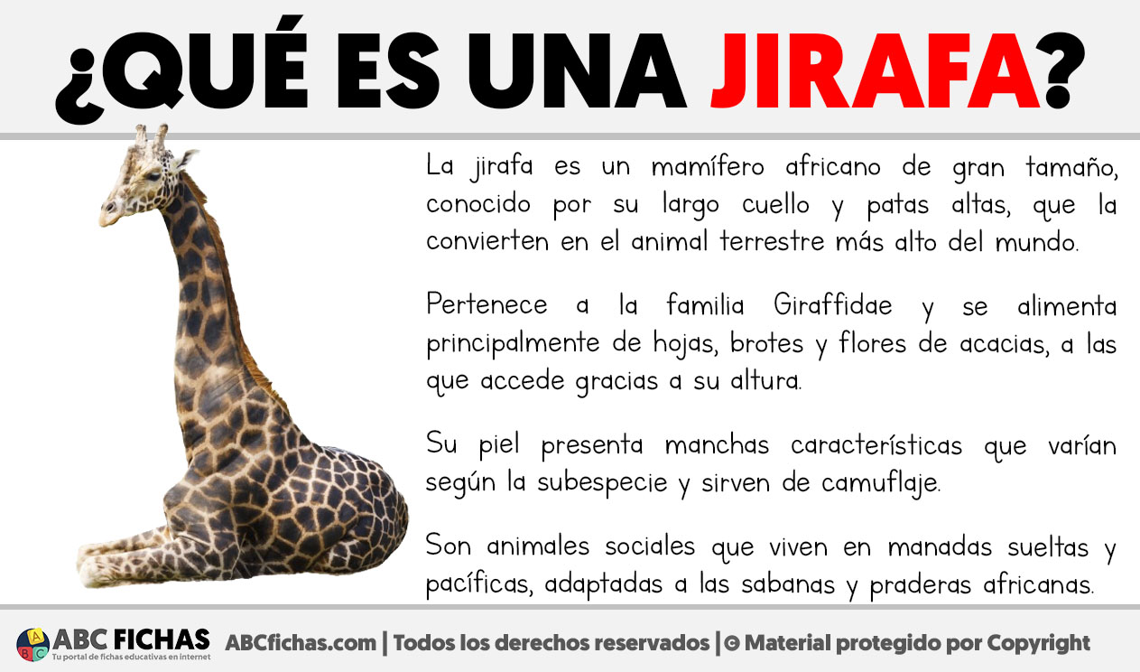 Que es una jirafa