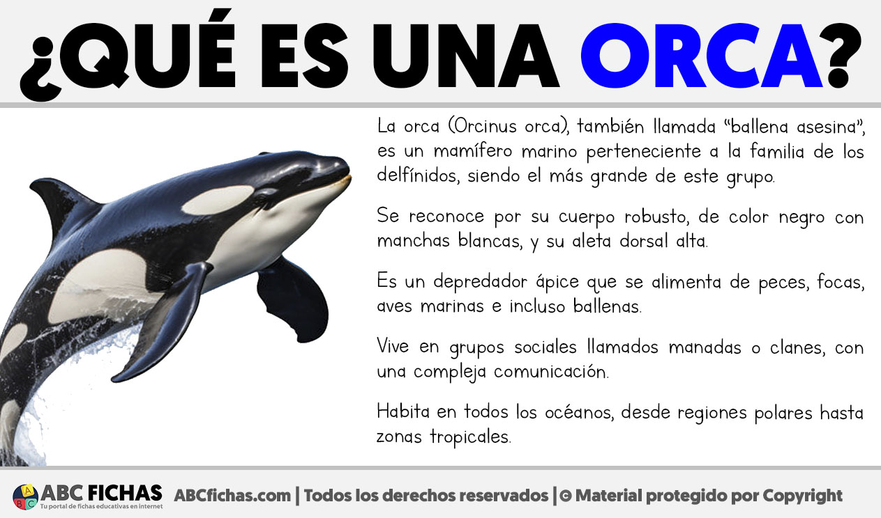 Que es una orca