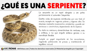 Que es una serpiente