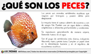 Que son los peces