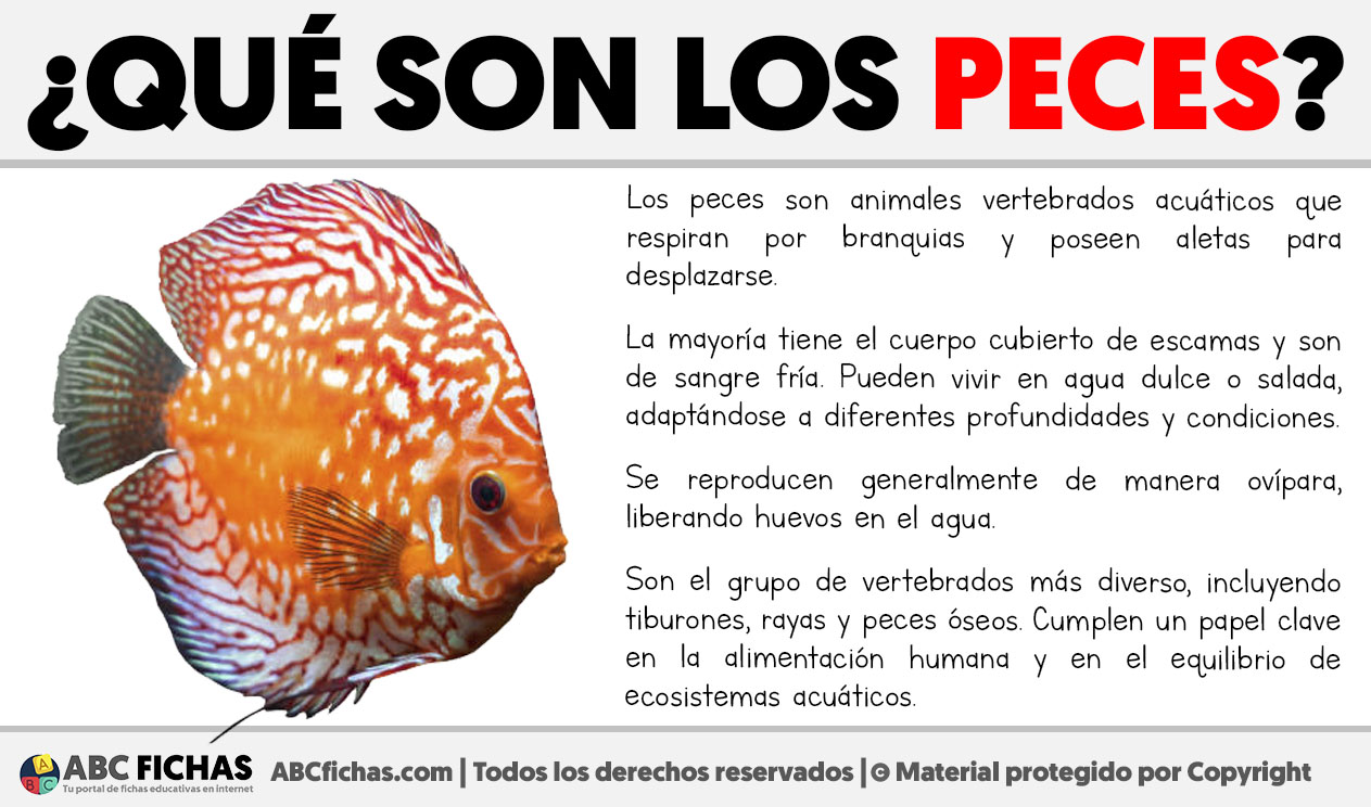 Que son los peces