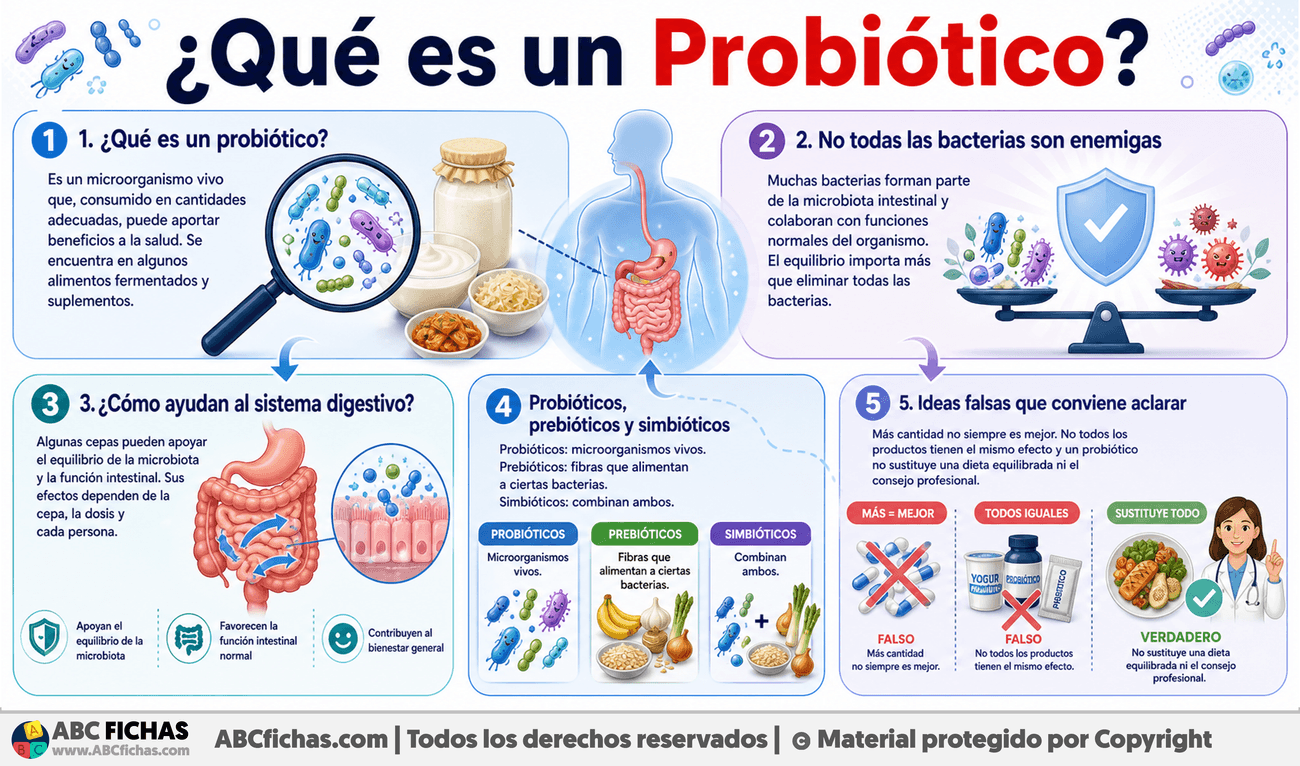 Infografia sobre ¿Qué es un Probiótico?