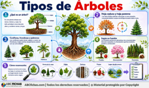 Infografia sobre Tipos de Árboles